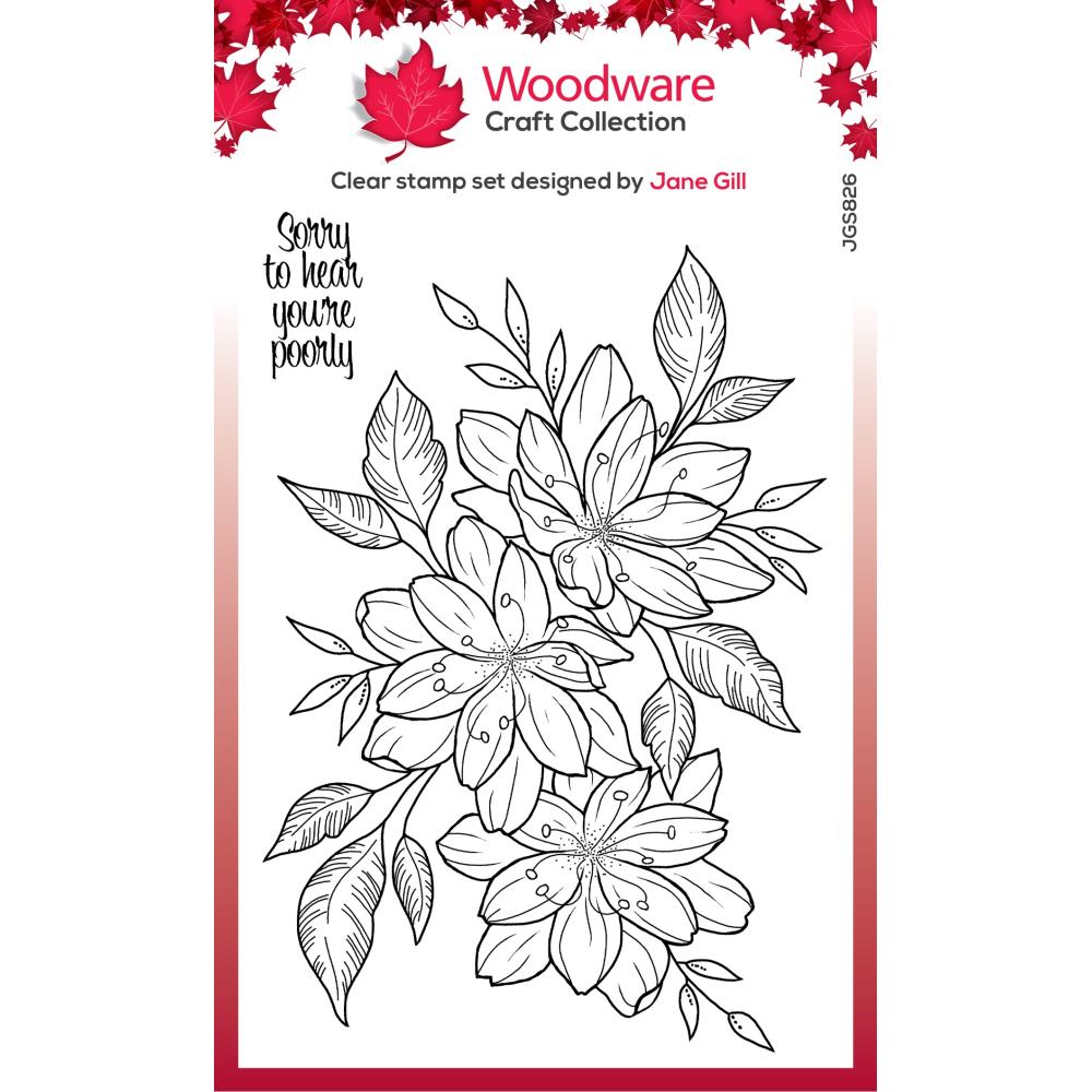 Woodware Craft - Clear Stamp - Huge Snowflake