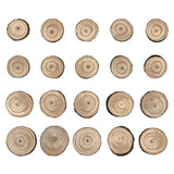 Idea-Ology Wood Slices 15/Pkg Natural Raw Edge 1" To 1.25"