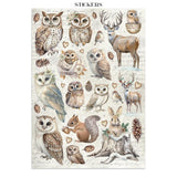 Stamperia Junk Journal Stickers, Cut-outs And Backgrounds The Owl's House