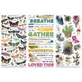 49 And Market Rub-On Transfer Set Curiosities In Willow Grove