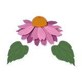 honey bee  Honey Cuts Die, LOVELY LAYERS CONEFLOWER