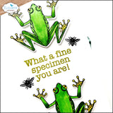 Elizabeth Craft Stamp -Playful Sentiments