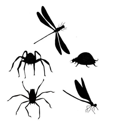 Lavinia - Bugs