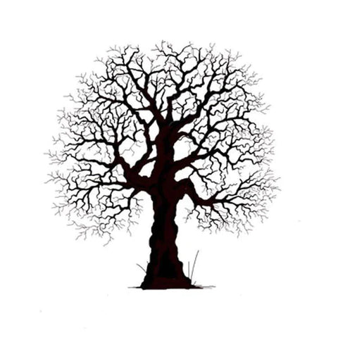 Lavinia - Oak Tree