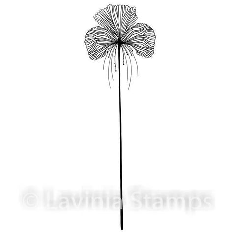 Lavinia Stamp - Single Fairy Orchid