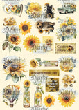 3QUARTER DESIGNS Sunflower Elixir 12x12 Collection Pack