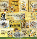 3QUARTER DESIGNS Sunflower Elixir 12x12 Collection Pack