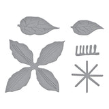 Spellbinders Clematis Etched Dies from the Garden Favorites Collection