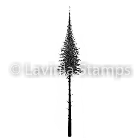 Lavinia - Fairy Fir Tree (Small)