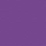 Core'dinations Core Foundations Cardstock 12"X12"