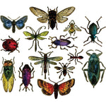 Sizzix Framelits Dies By Tim Holtz 14/Pkg Entomology