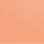 Core'dinations Core Foundations Cardstock 12"X12"