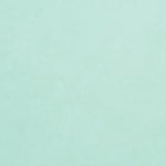 Core'dinations Core Foundations Cardstock 12"X12"