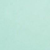 Core'dinations Core Foundations Cardstock 12"X12"