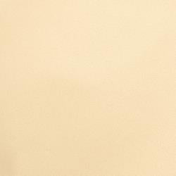 Core'dinations Vellum 8.5"X11" Gold Metallic