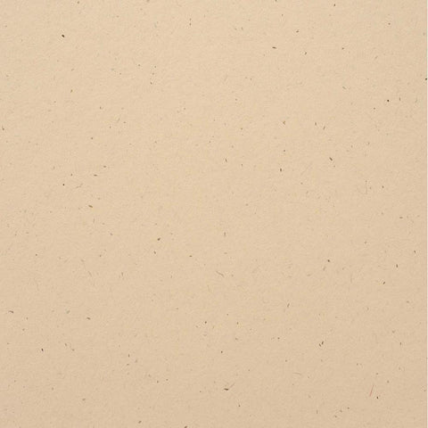 Bazzill Speckle Cardstock 12"X12" - Natural Stone (25 pack)