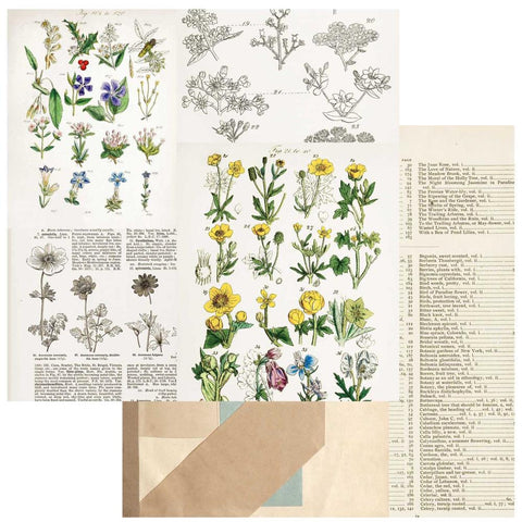 Curators Botanical Double-Sided Cardstock 12"X12" - Pressed Petals