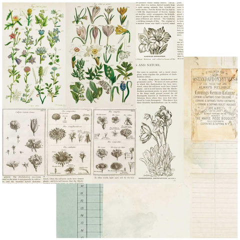 Curators Botanical Double-Sided Cardstock 12"X12" - Anthology