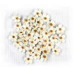 Little Birdie - Beaded Blooms 50/Pkg Moon Light
