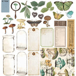 49 And Market Collection Pack 12"X12" Nature Study