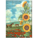 S40 Stamperia Assorted Rice Paper A4 6/Sheets Sunflower Art