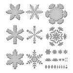 Spellbinders Etched Dies By Bibi Cameron - Snowflakes - Delicate Snowflakes