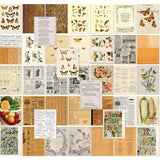 49 And Market Collage Sheets 6"x8" 40/Pkg Color Swatch: Peach