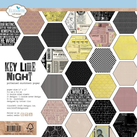 Elizabeth Craft Double-Sided Cardstock Pack 12"X12 Key Lime Night