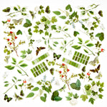 49 And Market - Color Swatch: Willow Acetate Assortment