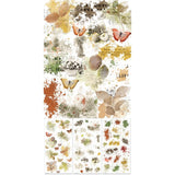 49 And Market Rub-Ons Transfer Set Vintage Orchard Blendable