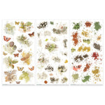 49 And Market Rub-Ons Transfer Set Vintage Orchard Blendable