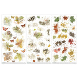 49 And Market Rub-Ons Transfer Set Vintage Orchard Blendable
