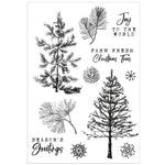 Sizzix A5 Clear Stamps With Framelits Die By 49 And Market Pine Holidays