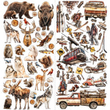 49 And Market Laser Cut Outs