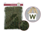 Mutlticrafts - Craft Decor Dried Naturals: 50g Reindeer Moss Green