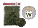 Mutlticrafts - Craft Decor Dried Naturals: 50g Reindeer Moss Green