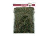 Mutlticrafts - Craft Decor Dried Naturals: 50g Reindeer Moss Green