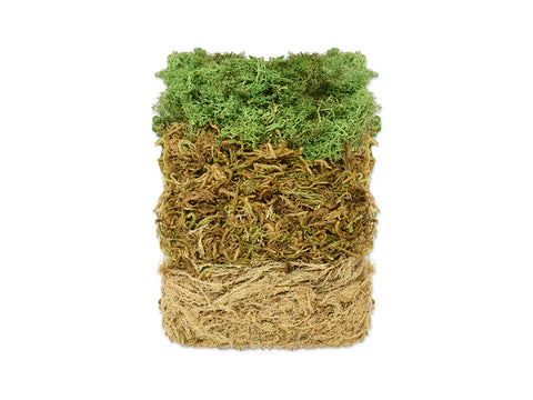 Multicraft Craft Decor Dried Naturals: 2oz 3-Moss Variety Pack 60gm