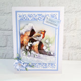 Katy Sue Die Cut Decoupage – Robin On Pot (Pack Of 3)
