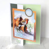 Katy Sue Die Cut Decoupage – Robin On Pot (Pack Of 3)