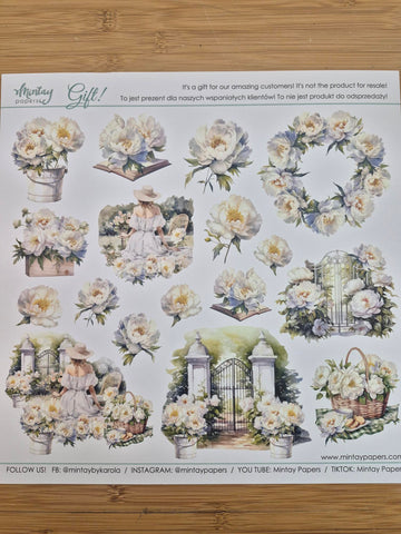Mintay Gift