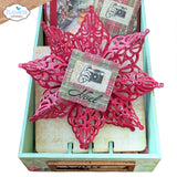 Elizabeth Craft - Festive Star dies