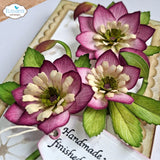 Elizabeth Craft Lenten Rose