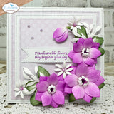 Elizabeth Craft Stitched squares and circles