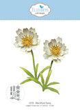 Elizabeth Craft dies Blackfoot Daisy