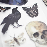 Scrapbook Resource Co - Plague Doctor : PET Tape: Whole Roll