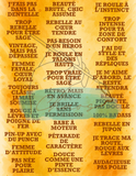 Le Chaos Créatif- album collage- Rebelles, rétro avec de l’attitude, vol. 1