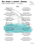 Le Chaos Créatif- phrases et pochoirs-Duo Gratitude