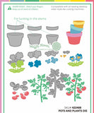 Waffle Flower Pots and Plants Die
