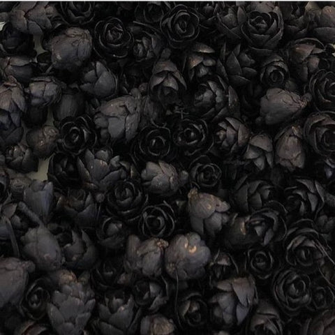 Les belles des bois - Roses Des Bois - Noir